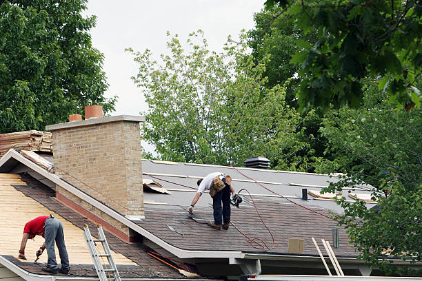 Best Roof Repair Services  in Mcadoo, PA